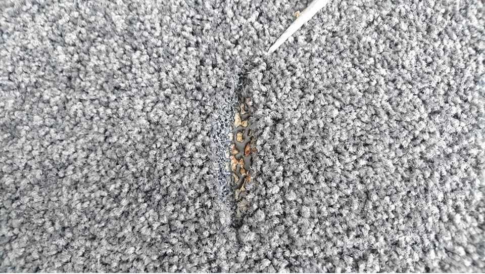 Burn repair before