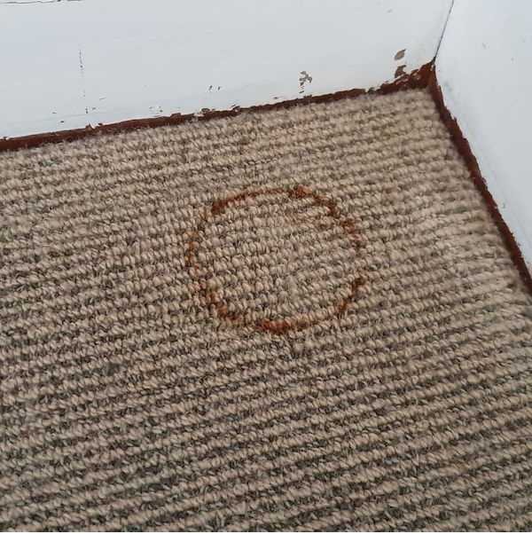 Burn repair 2 before