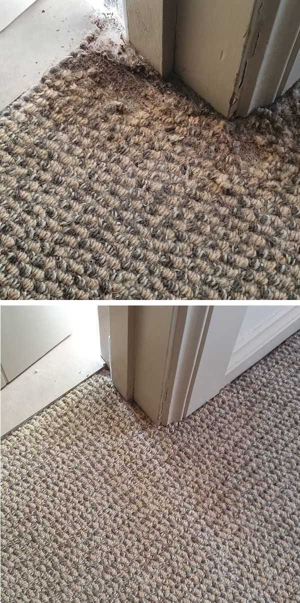 Carpet rot restored