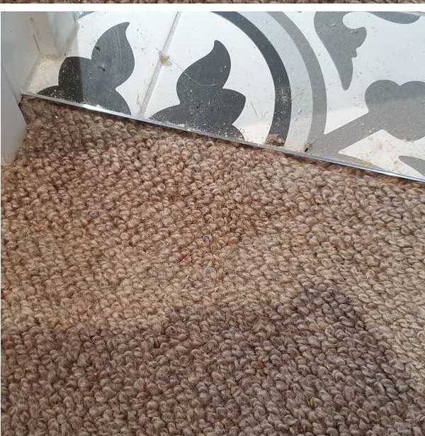 Pet damage repair after