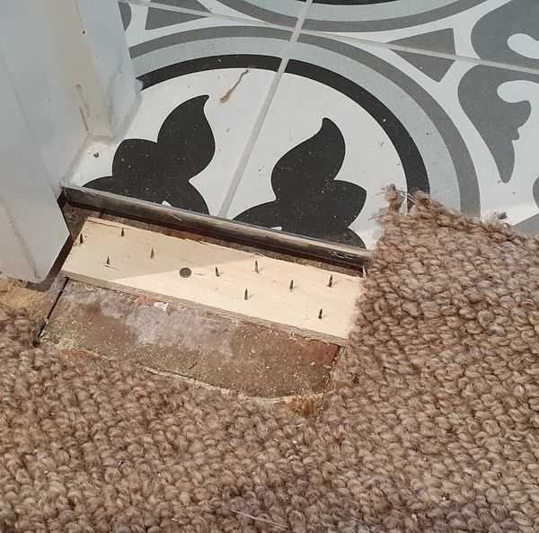 Pet damage repair before
