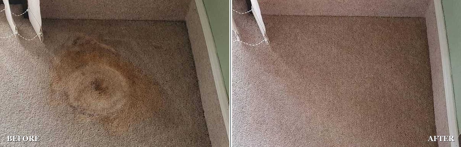 Pot plant damage: before and after