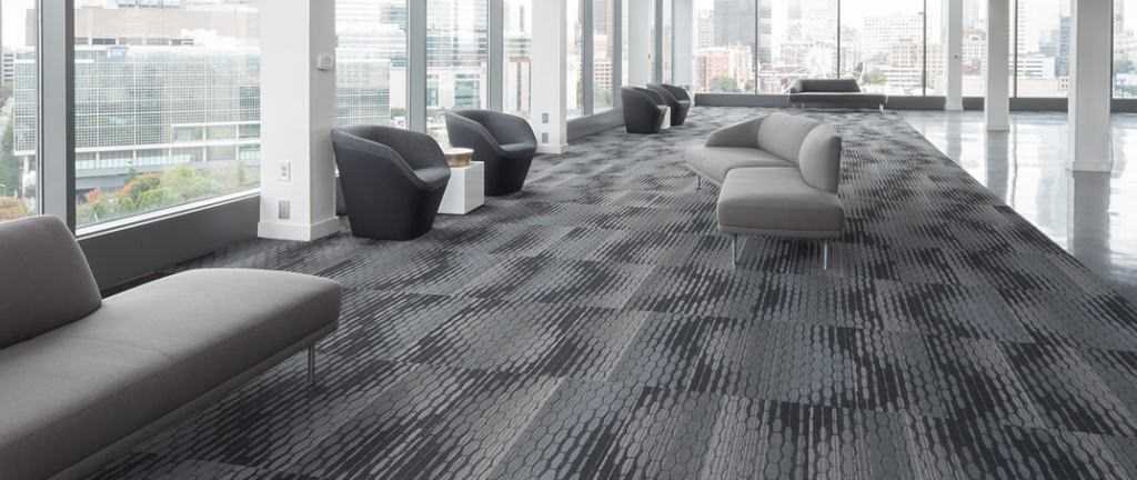 Commercial carpet cleaning in an office
