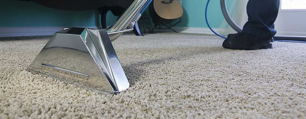 Happy customer review of Carpet Pro